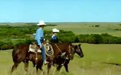 Last Stand of the Tallgrass Prairie (excerpt)