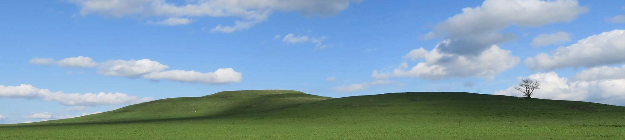 Gary Jenkins - educator