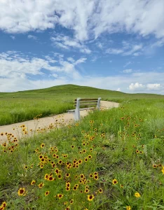 Bench and Trail @ Mount Mitchell Heritage Prairie