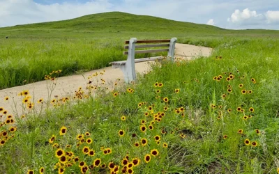 It’s Wamego Match Day!