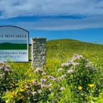 New Mount Mitchell Heritage Prairie park sign between two light-tone pillars with mountain in the background and purple and yellow blossoms in the foreground