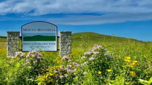 New Mount Mitchell Heritage Prairie park sign between two light-tone pillars with mountain in the background and purple and yellow blossoms in the foreground
