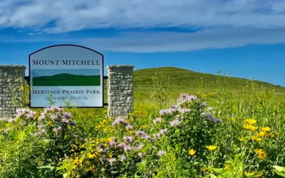  Alma Community Foundation’s Match Day