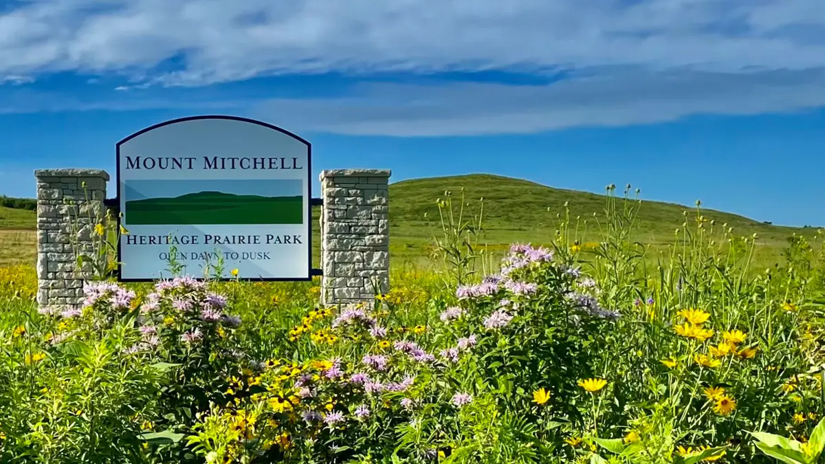 Mitchell Community. Sign Alma Community Foundation’s Match Day • Mount Mitchell Prairie