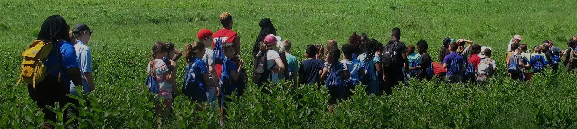 Group of children walking through mountain grasses and flowers led by an adult instructor