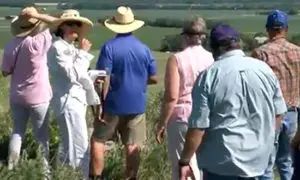 Group of people gathered with a distant view of the green prairie landscape