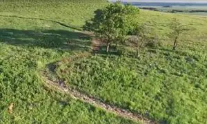 Green hill viewed from above with a tree and a winding path to the left