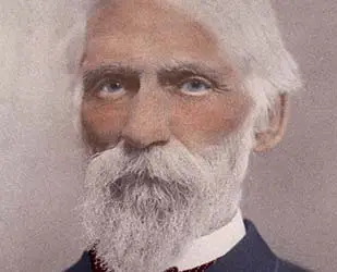 Historic bearded man painting Painting of a man in antiquated clothing with a long white beard