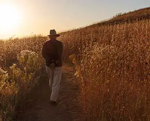 Tallgrass prairie trail Man walking uphill through tall golden prairie grass in fall
