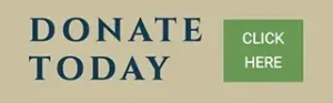 Donate today button